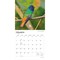 Hummingbirds | 2027 12 x 24 Inch (Hanging) Monthly Square Wall Calendar | Foil Stamped Cover | Plastic-Free